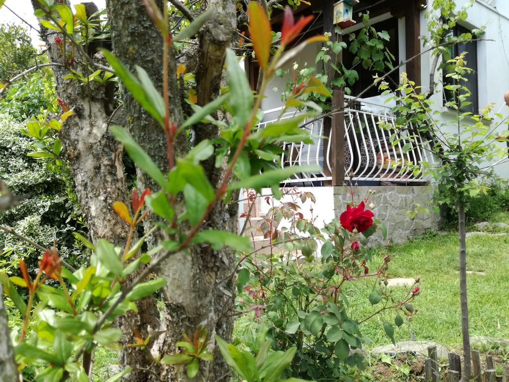 Guest House Fanny Sinemoretz Buitenkant foto