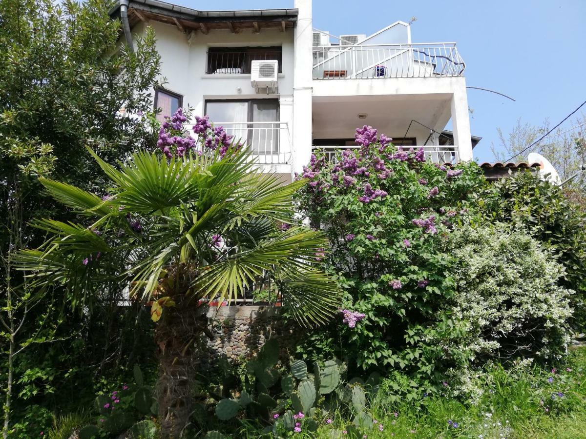 Guest House Fanny Sinemoretz Buitenkant foto